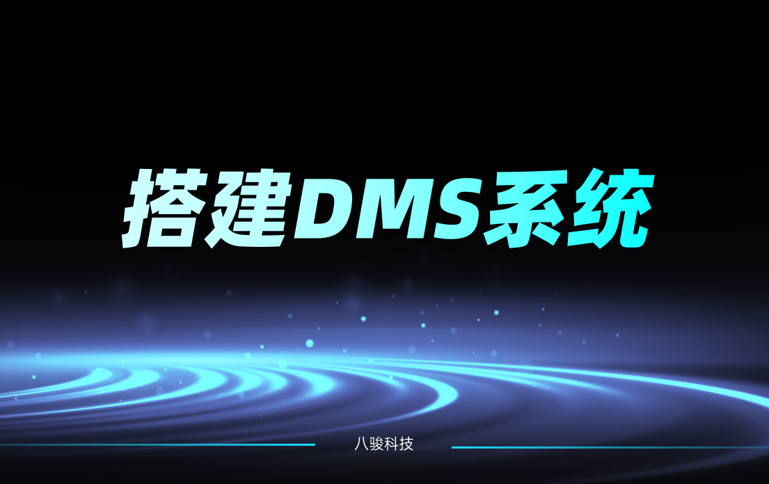 搭建DMS系統