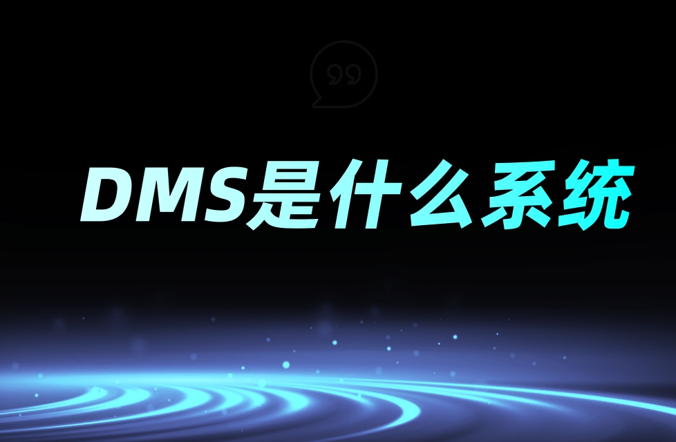 DMS是什么系統