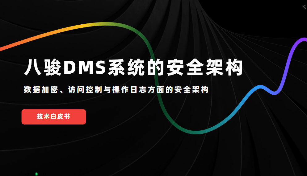  技術白皮書：八駿DMS系統在數據加密、訪問控制與操作日志方面的安全架構